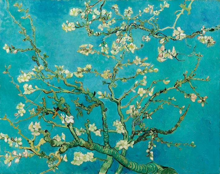  文森特·威廉·梵高  Vincent Willen Van Gogh ——杏花 (February 1890 - 1890)
